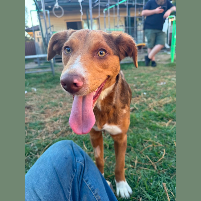 Photo of Ember