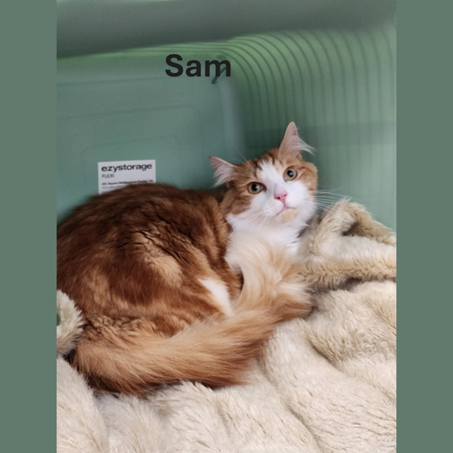 Photo of Ellie And Sam