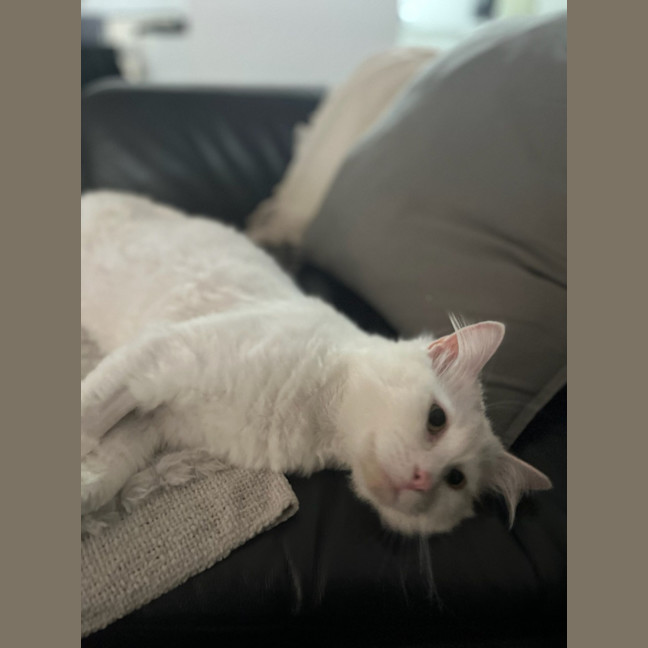 Photo of Westley White