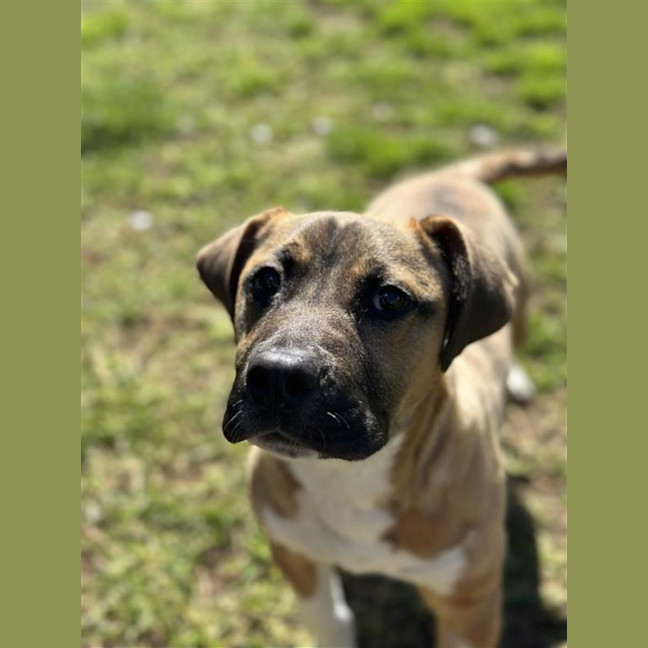 Photo of Major