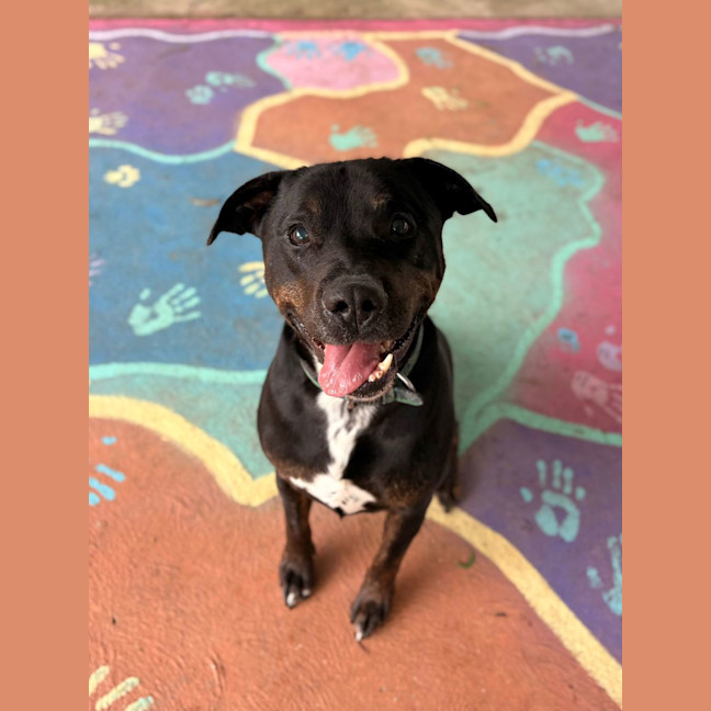 Photo of Junior