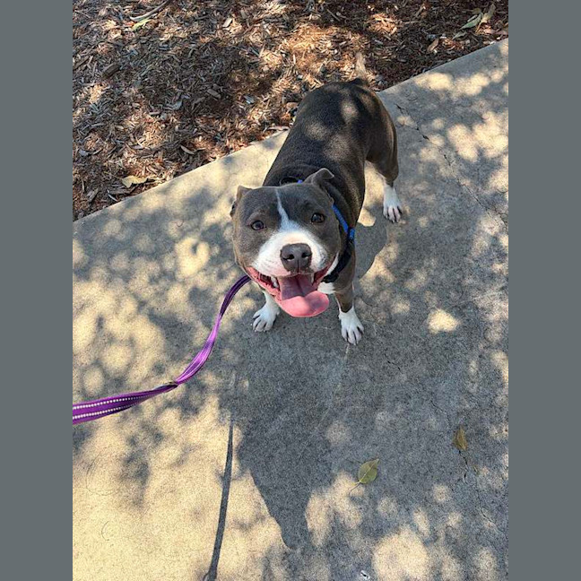 Photo of Bonnie
