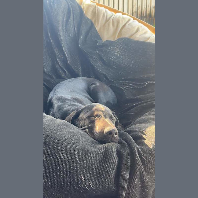 Photo of Lexi
