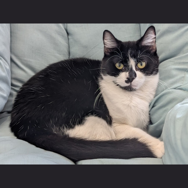 Photo of Nyla