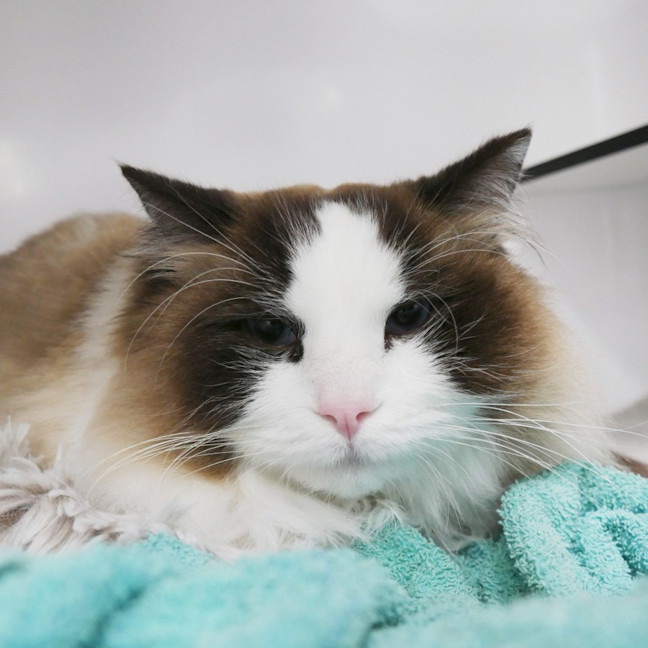 Photo of Oscar Sua012925