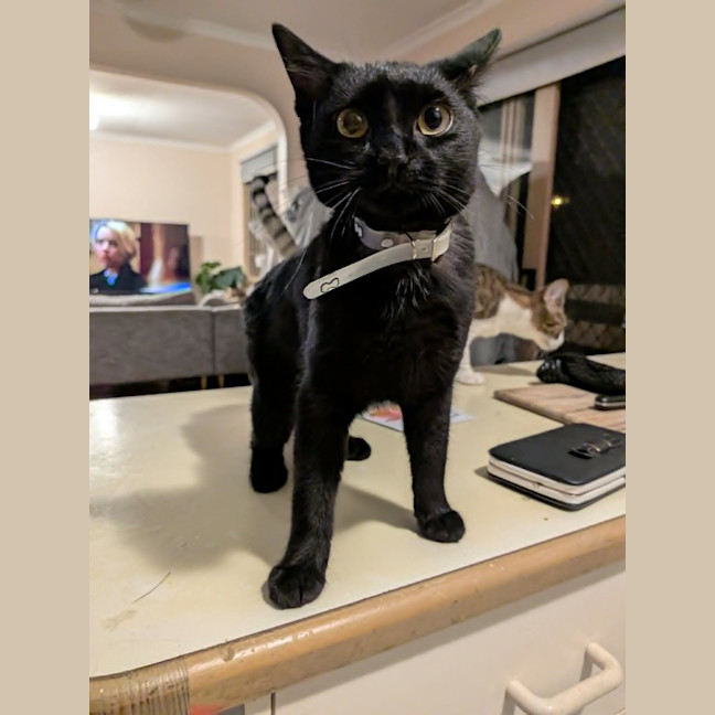 Photo of Tammy
