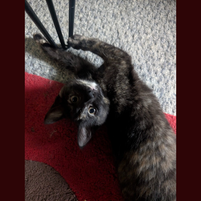 Photo of Willa