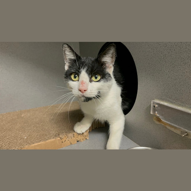 Photo of Sally