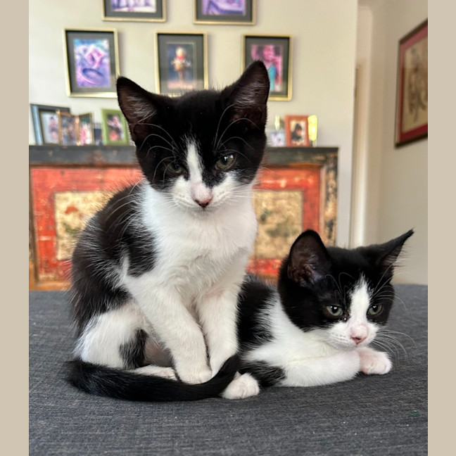 Photo of Xena And Smudge