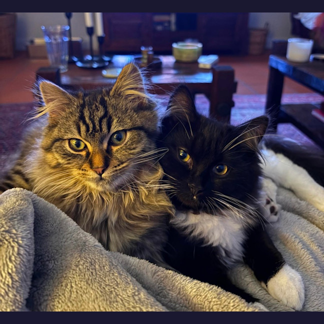 Photo of George Michael & Maeby 