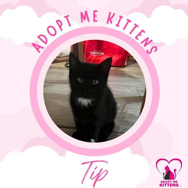 Photo of Tip