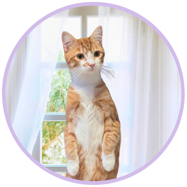 Photo of Pumpkin