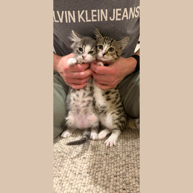 Photo of Bella / Issi