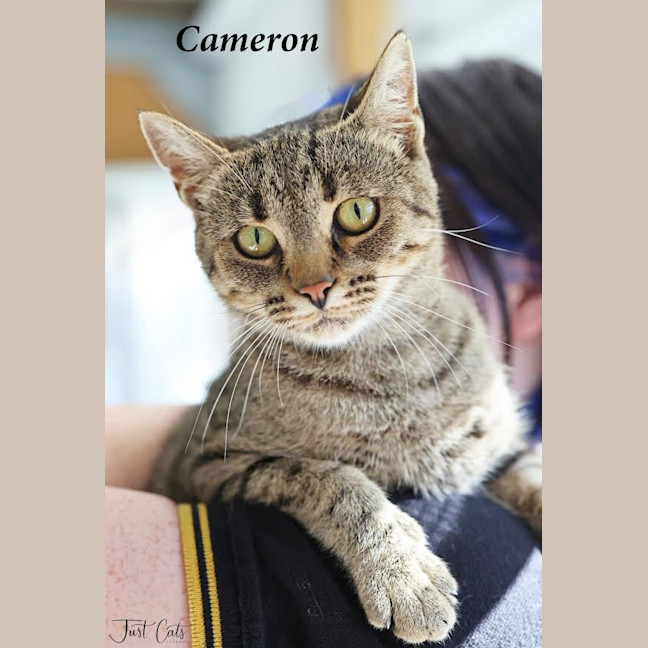 Photo of Cameron   Burnie