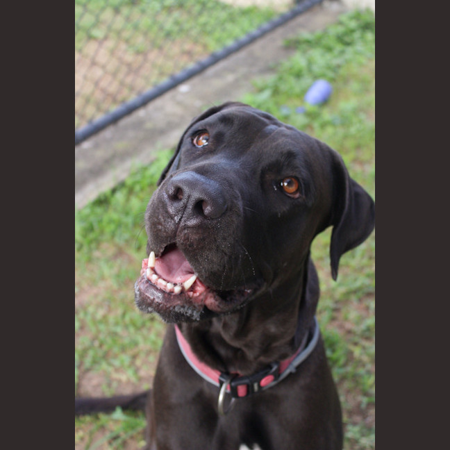 Photo of Bindi