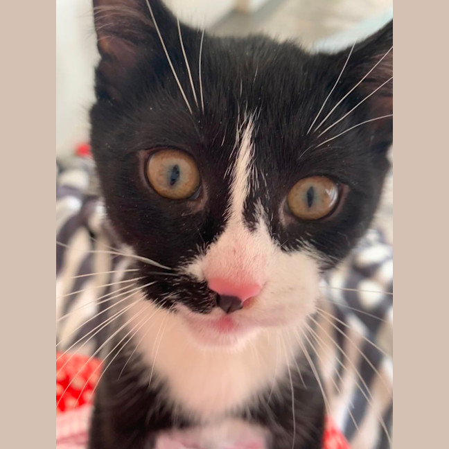 Photo of Christopher