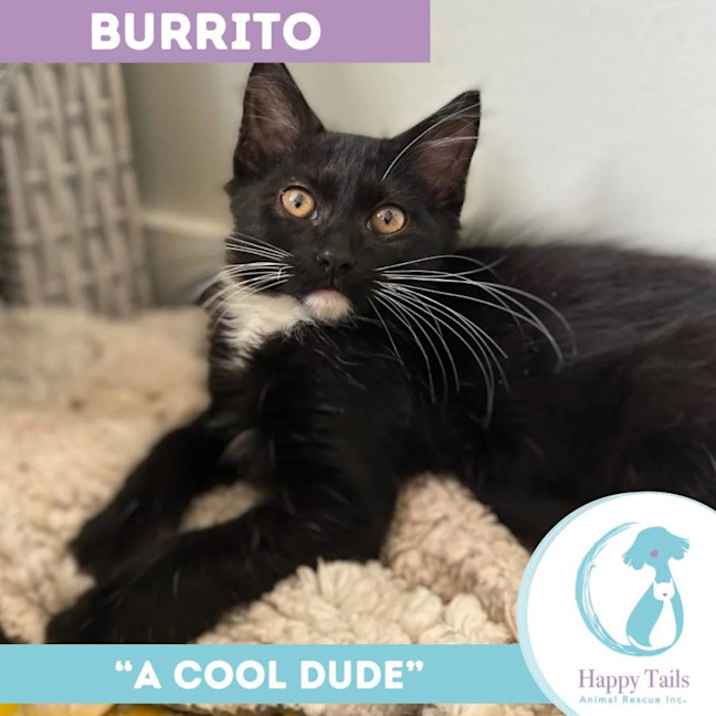 Photo of Burrito