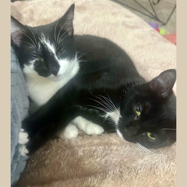 Photo of Alice & Anika