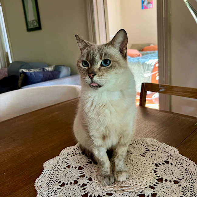 Photo of Pearl