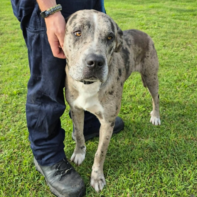 Photo of Patch