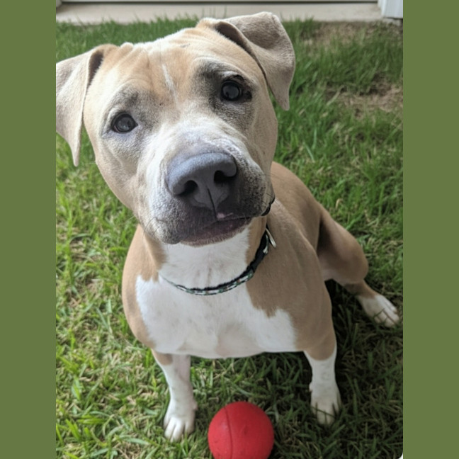 Photo of Stormi Rose