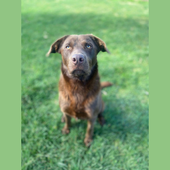 Photo of Max