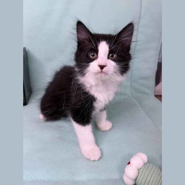 Photo of Gracie May 🌷