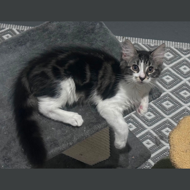 Photo of Zach ❤️😎