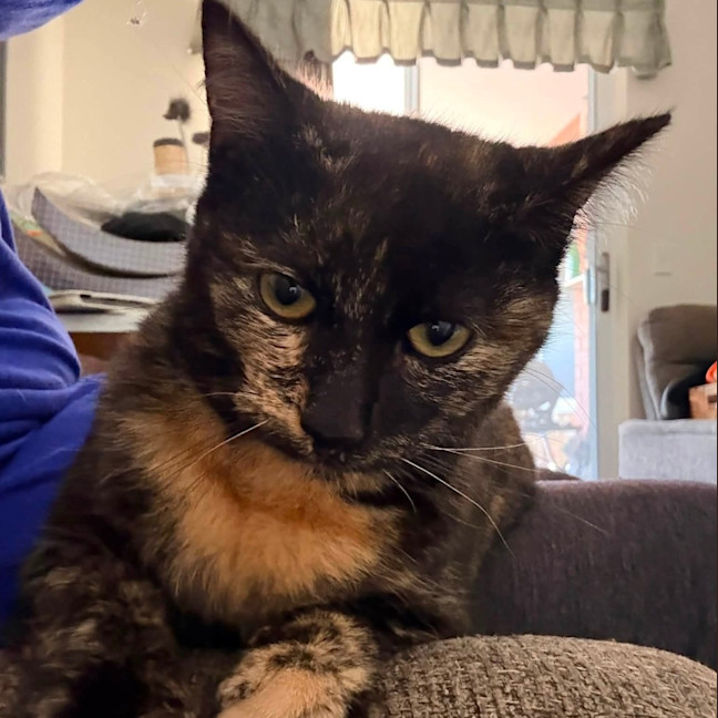 Photo of Rosie
