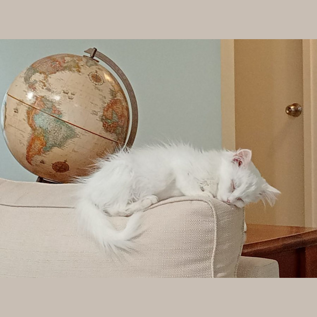 Photo of Harry & Olive