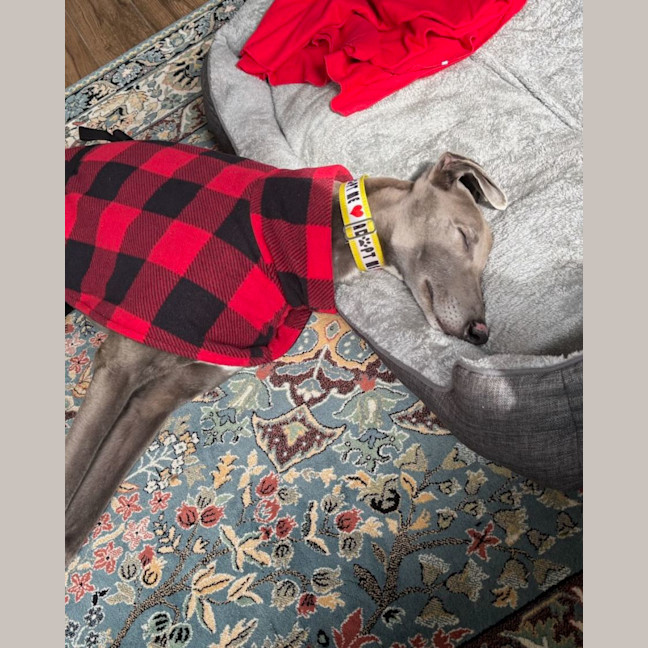 Photo of Cash