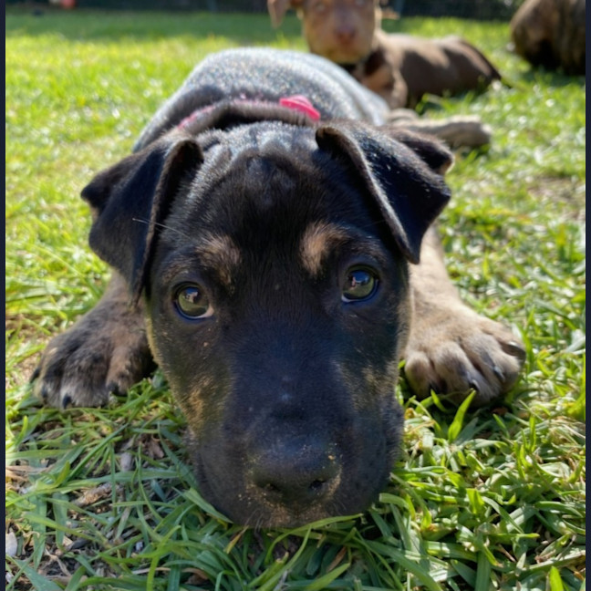 Photo of Princess Fiona