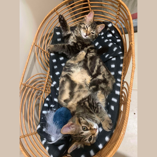 Photo of Marty & Max 