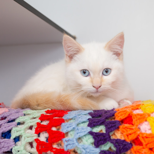 Photo of Colin Robinson