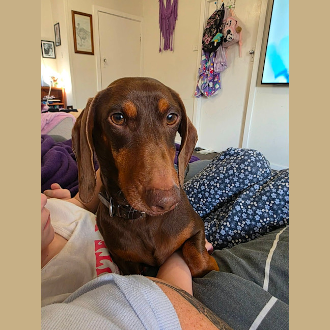 Photo of Georgie