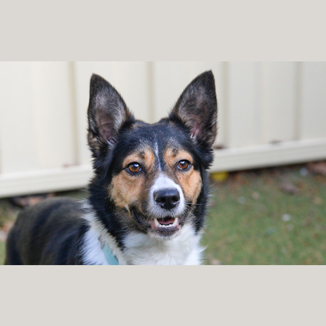 Photo of Lucy