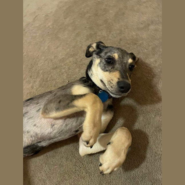 Photo of Delta 💜