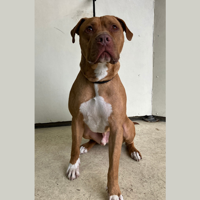 Photo of Zeus