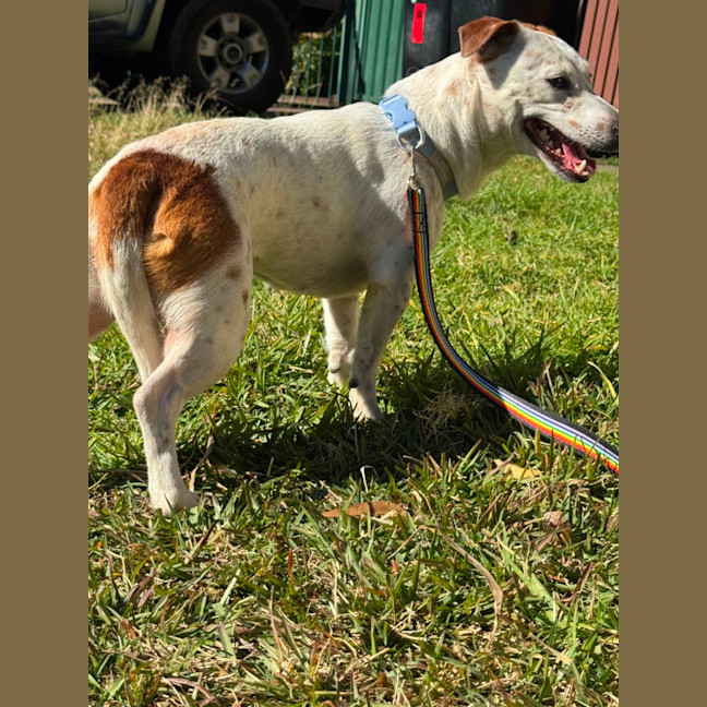 Photo of Coco