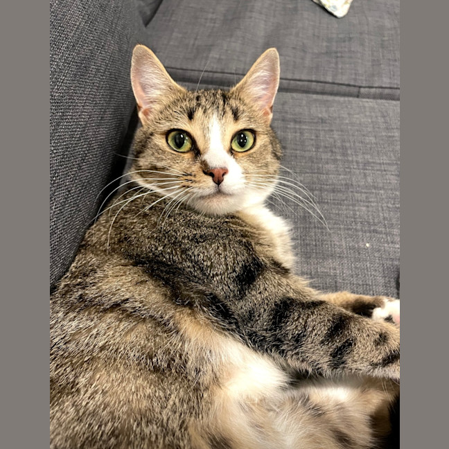 Photo of Kaiya
