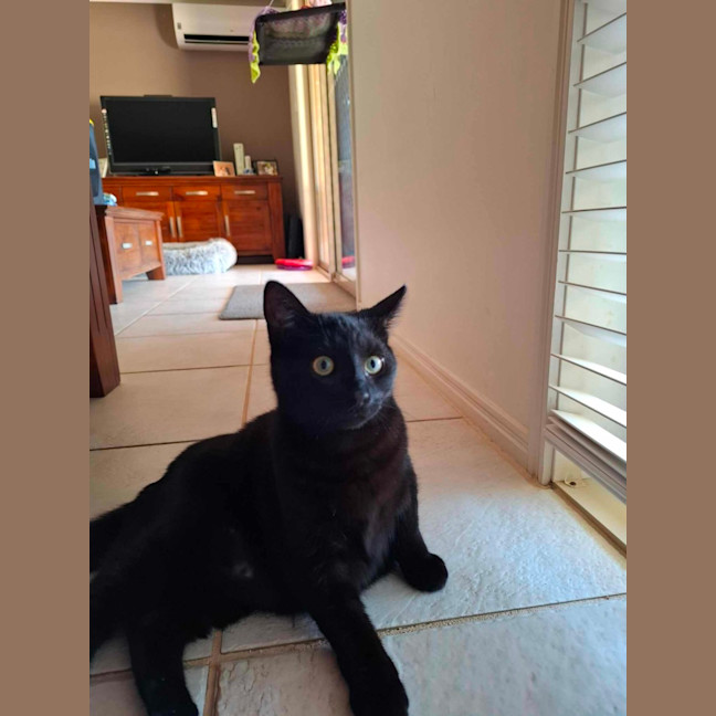 Photo of Terrence