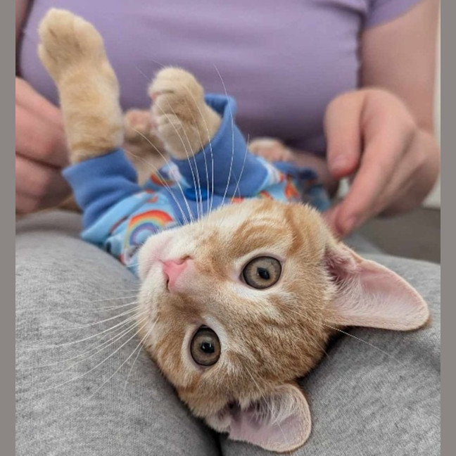 Photo of Ember