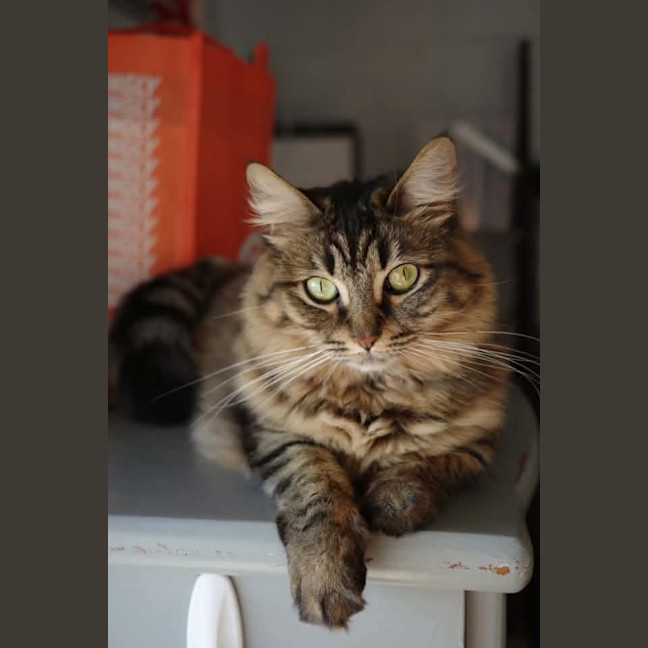 Photo of Rhea