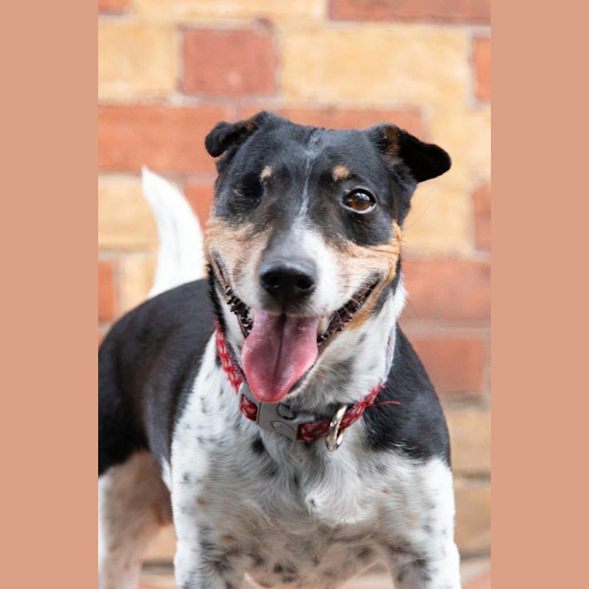 Photo of Bella Valenti