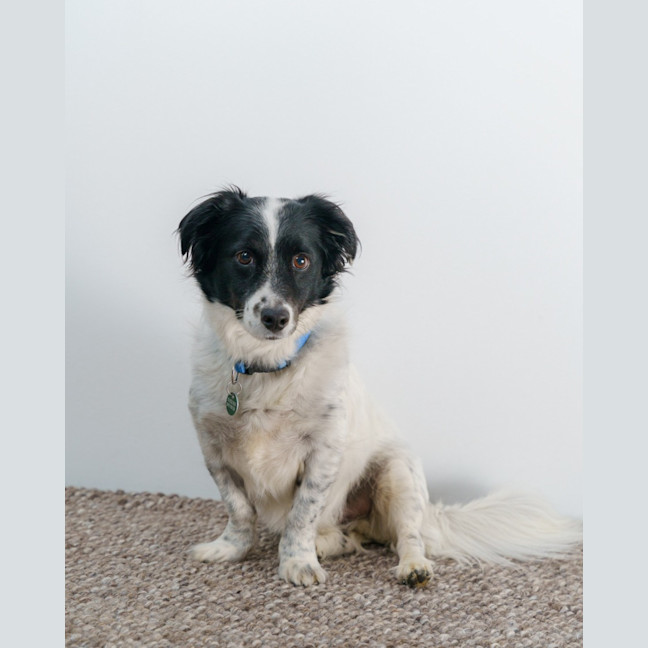 Photo of Sam Jablonski