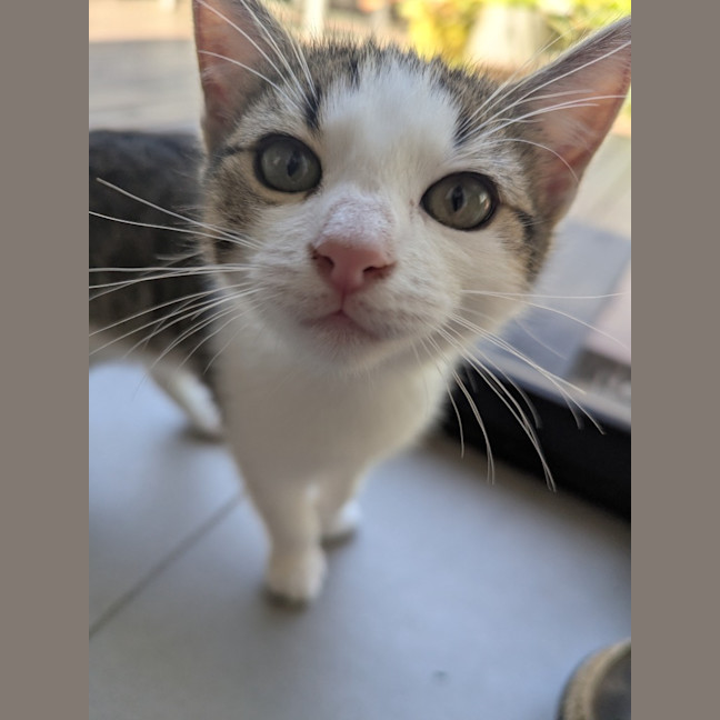 Photo of Sofia Scotty