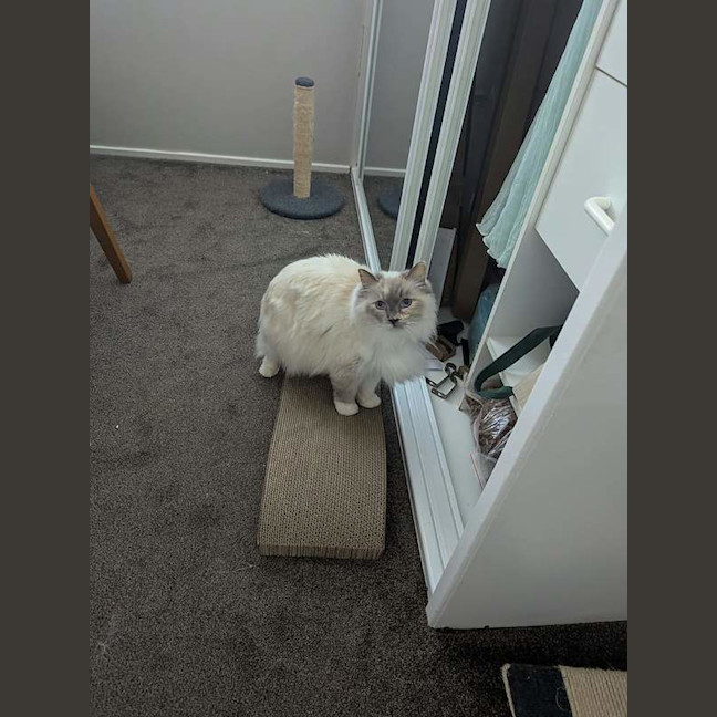 Photo of Betty