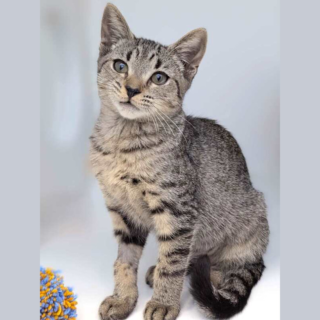 Photo of Azula