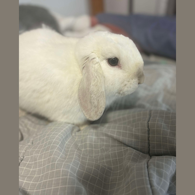 Photo of Youthful Clyde