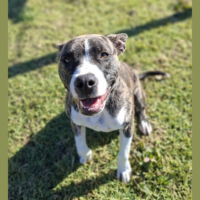 Photo of Cenric Riley